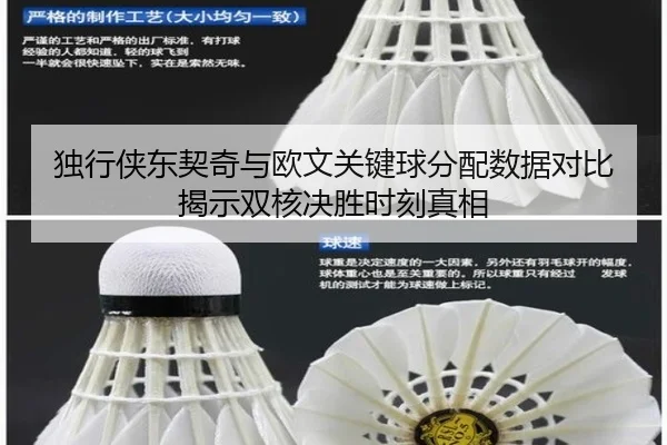 独行侠东契奇与欧文关键球分配数据对比揭示双核决胜时刻真相